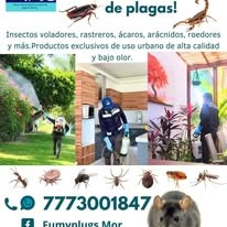Servicio de fumigación