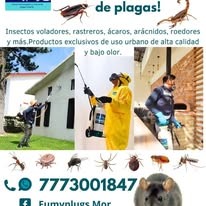 Control de plagas